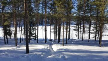 Фото номера Апартаменты с 3 спальнями Шале Syöte Huuhkamajat Cottage г. Сиоте 28