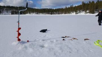 Фото номера Апартаменты с 3 спальнями Шале Syöte Huuhkamajat Cottage г. Сиоте 32