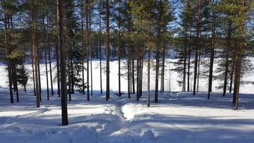 Фото номера Апартаменты с 3 спальнями Шале Syöte Huuhkamajat Cottage г. Сиоте 39
