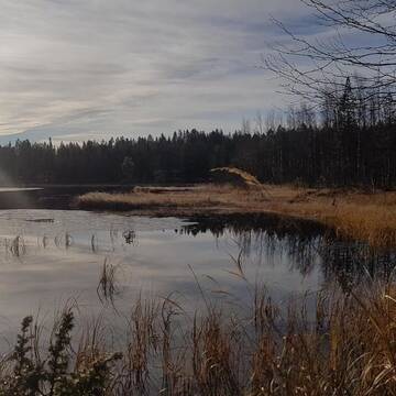 Фото номера Вилла с 2 спальнями Шале Mänty- Lodge г. Сиоте 81