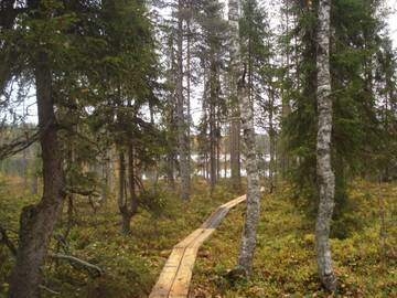 Фото номера Вилла с 1 спальней Дома для отпуска Toola-Lodge г. Сиоте 41