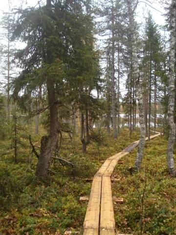 Фото номера Вилла с 1 спальней Дома для отпуска Toola-Lodge г. Сиоте 43