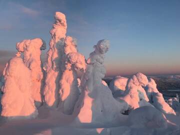 Фото номера Вилла с 1 спальней Дома для отпуска Toola-Lodge г. Сиоте 106