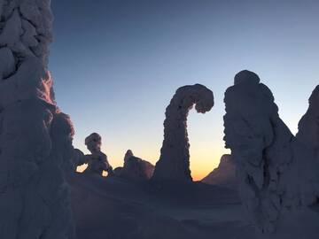 Фото номера Вилла с 1 спальней Дома для отпуска Toola-Lodge г. Сиоте 102