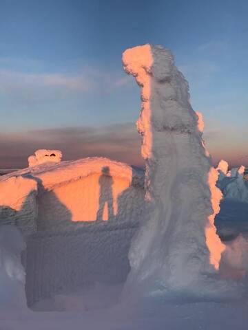 Фото номера Вилла с 1 спальней Дома для отпуска Toola-Lodge г. Сиоте 103