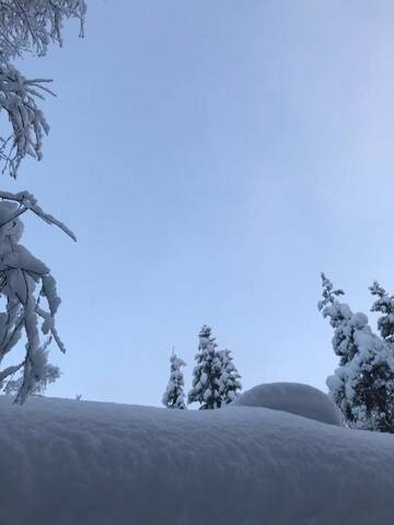Фото номера Вилла с 1 спальней Дома для отпуска Toola-Lodge г. Сиоте 104