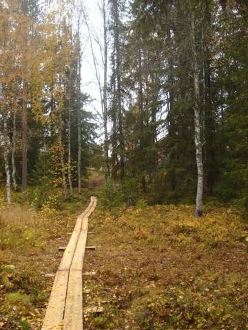 Фото номера Вилла с 1 спальней Дома для отпуска Toola-Lodge г. Сиоте 86