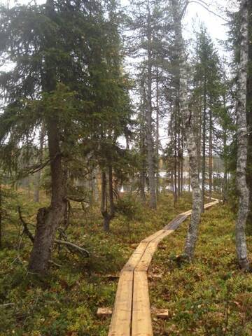 Фото номера Вилла с 1 спальней Дома для отпуска Toola-Lodge г. Сиоте 84