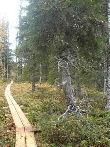 Фото номера Вилла с 1 спальней Дома для отпуска Toola-Lodge г. Сиоте 34